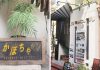 和洋の食材も加えた「新しい中華」が自慢!かぼちゃ|兵庫県尼崎市